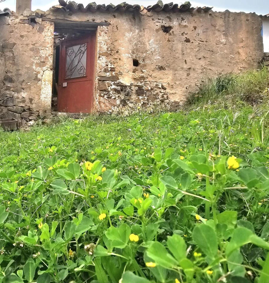 Armazém para Venda em Alferce Foto 11