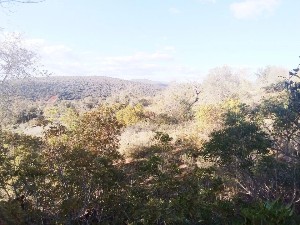Terreno para Venda em Boliqueime Foto 2