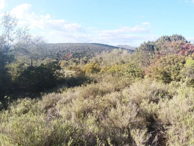 Terreno para Venda em Boliqueime Foto 3