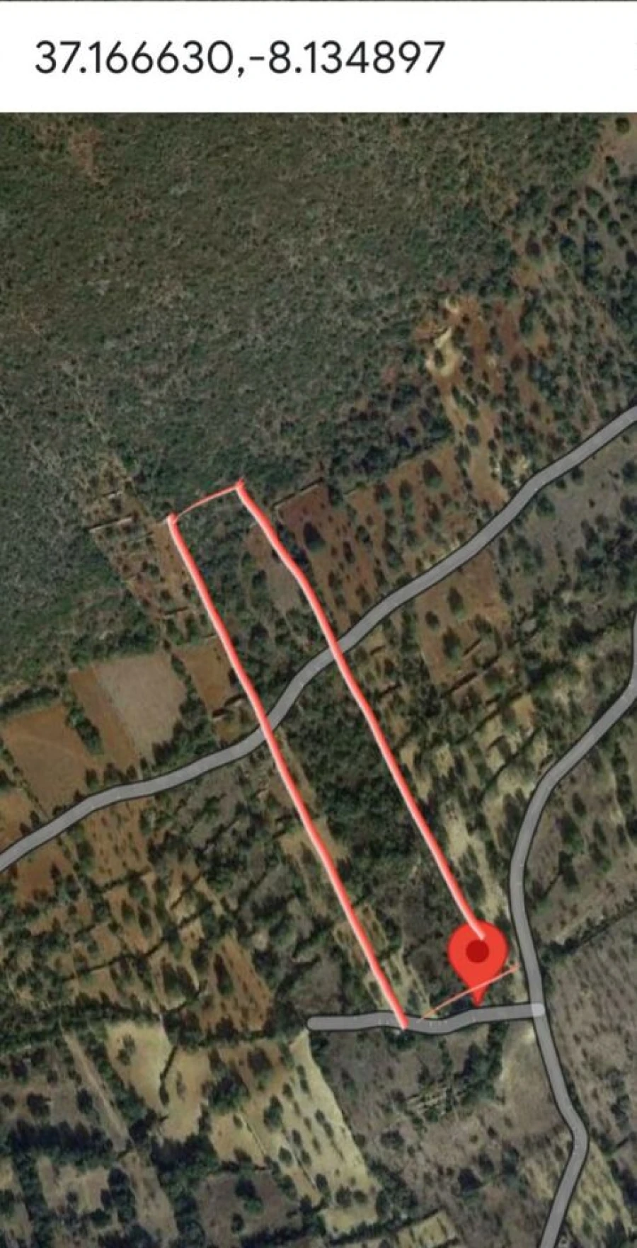 Terreno para Venda em Boliqueime Foto 5