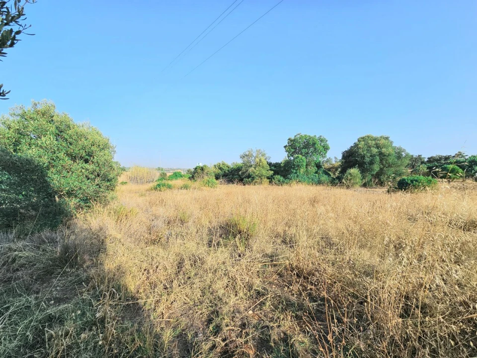 Terreno para Venda em Alcantarilha e Pêra Foto 1