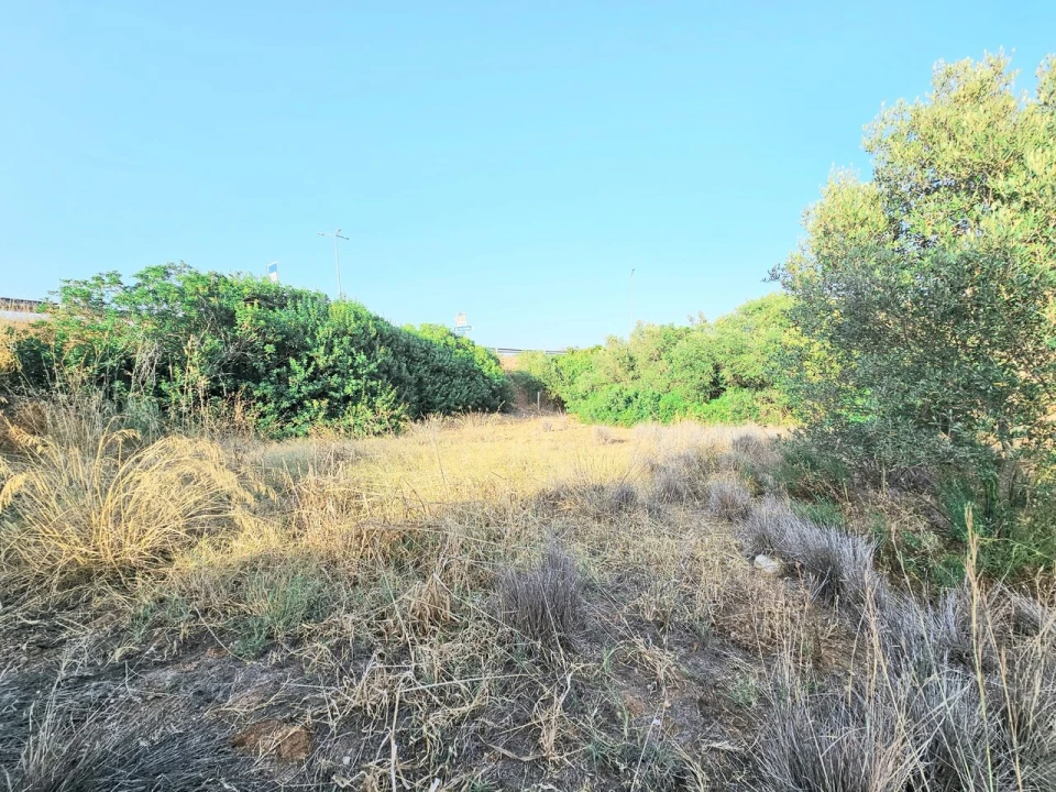 Terreno para Venda em Alcantarilha e Pêra Foto 3