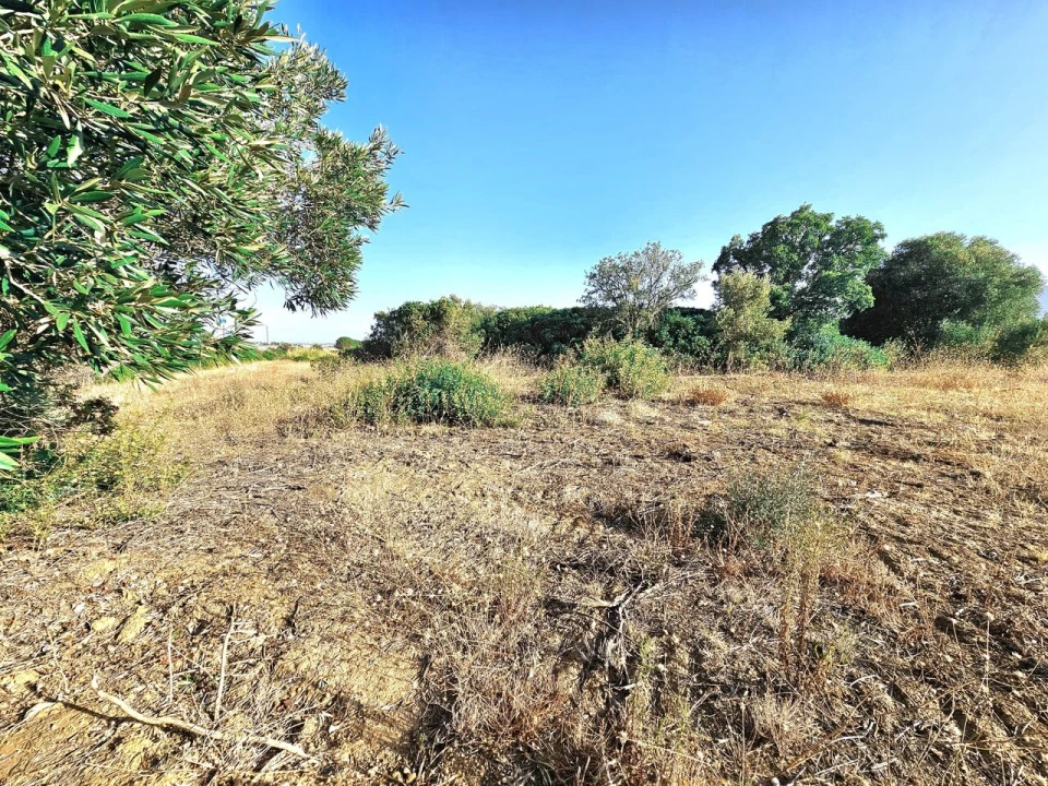 Terreno para Venda em Alcantarilha e Pêra Foto 6