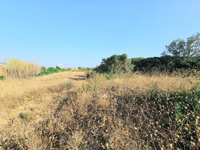 Terreno para Venda em Alcantarilha e Pêra Foto 5