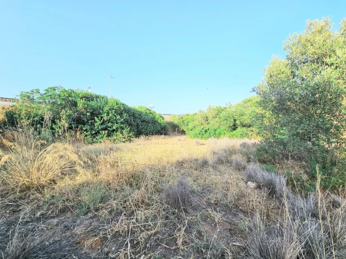 Terreno para Venda em Alcantarilha e Pêra Foto 3