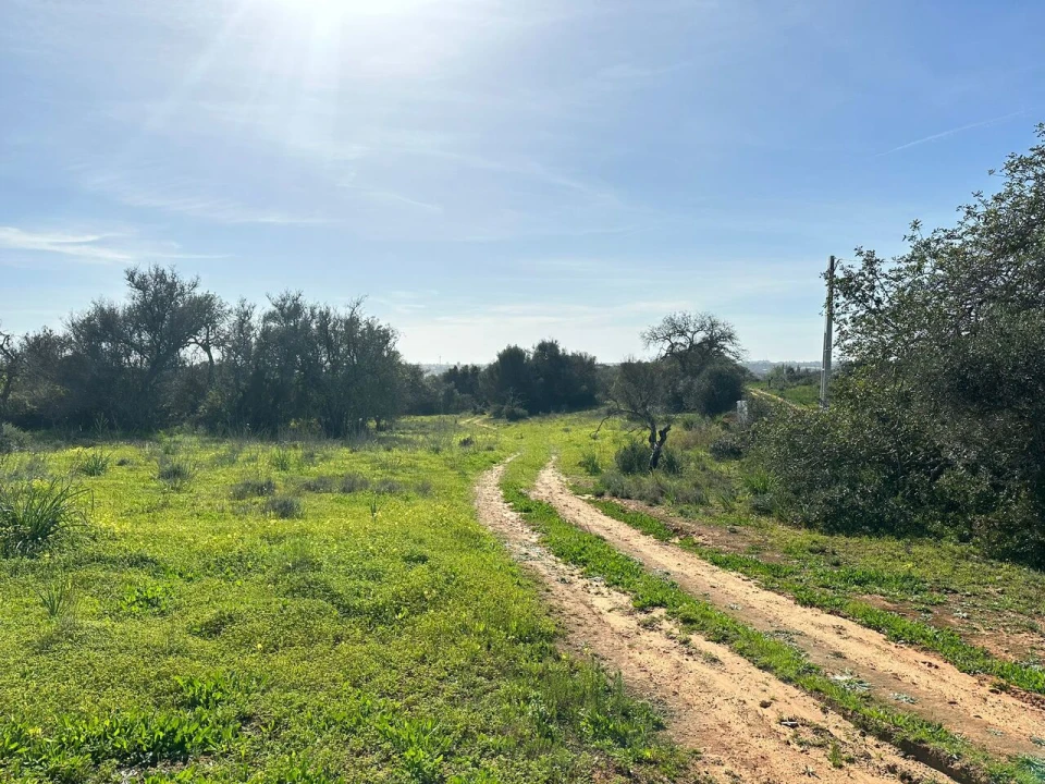 Terreno para Venda em Alcantarilha e Pêra Foto 2