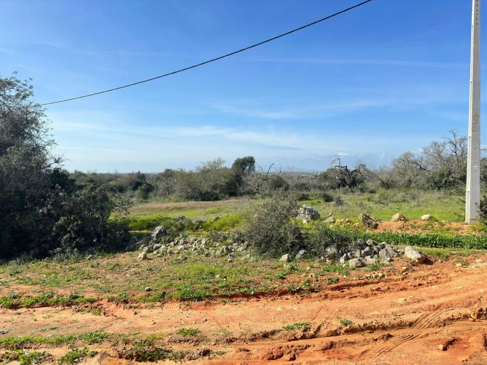 Terreno para Venda em Alcantarilha e Pêra Foto 3