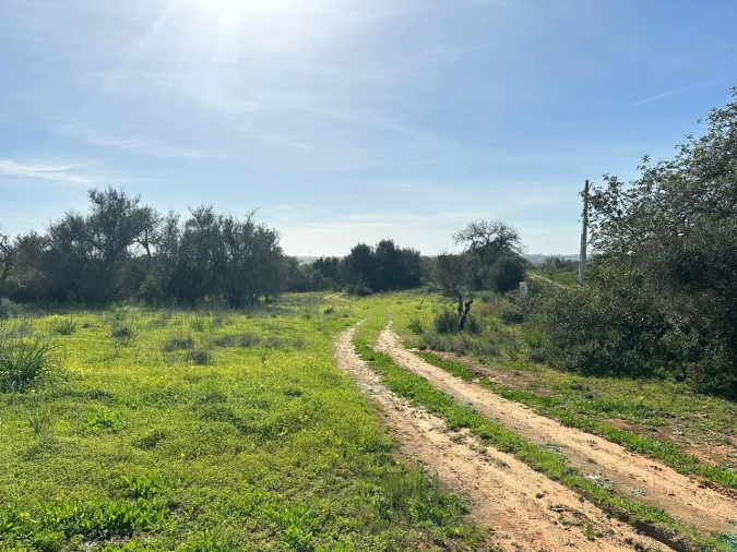 Terreno para Venda em Alcantarilha e Pêra Foto 2