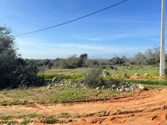 Terreno para Venda em Alcantarilha e Pêra Foto 3