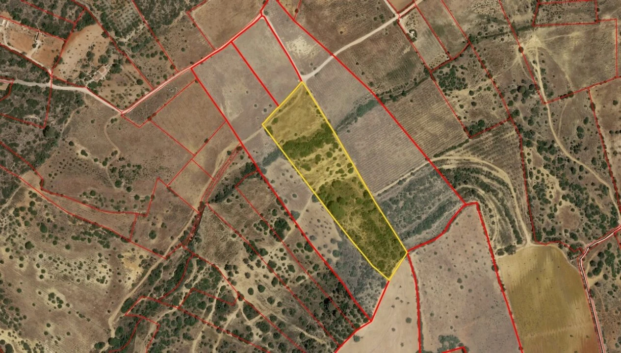 Terreno para Venda em Alcantarilha e Pêra Foto 1