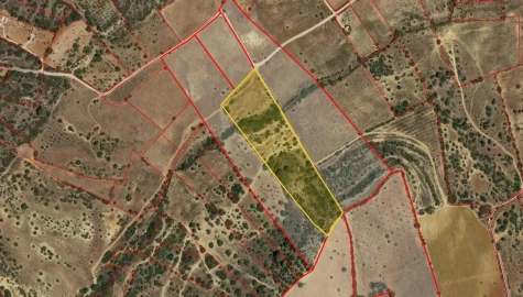 Terreno para Venda em Alcantarilha e Pêra