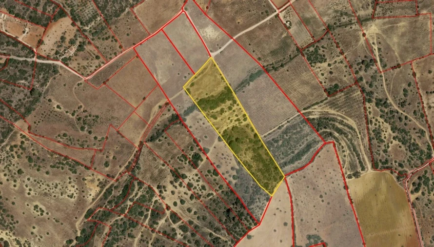 Terreno para Venda em Alcantarilha e Pêra Foto 1