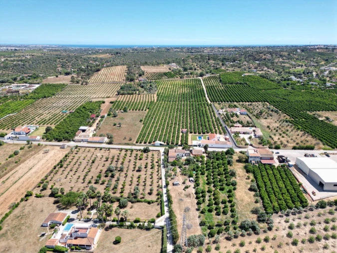 Moradia T3 para Venda em Silves Foto 12