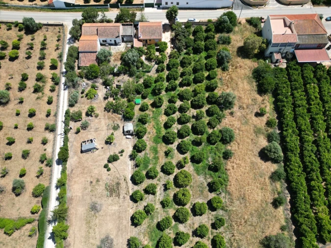 Moradia T3 para Venda em Silves Foto 13