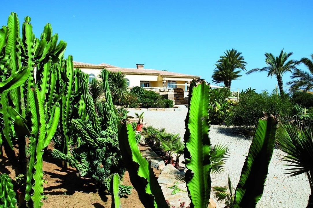 Moradia T5 para Venda em Guia Foto 8