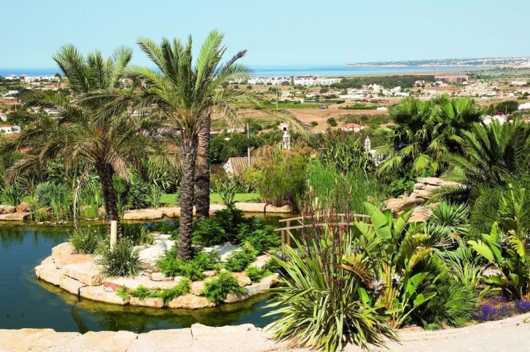 Moradia T5 para Venda em Guia Foto 21