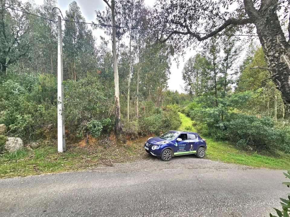 Terreno para Venda em Monchique Foto 9