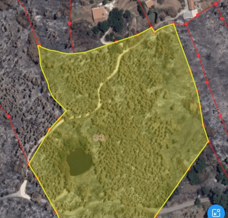 Terreno para Venda em Monchique Foto 11