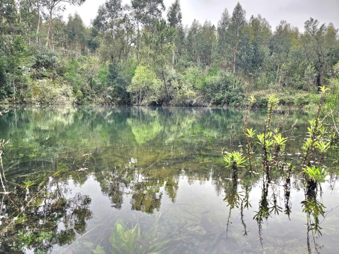 Terreno para Venda em Monchique Foto 2