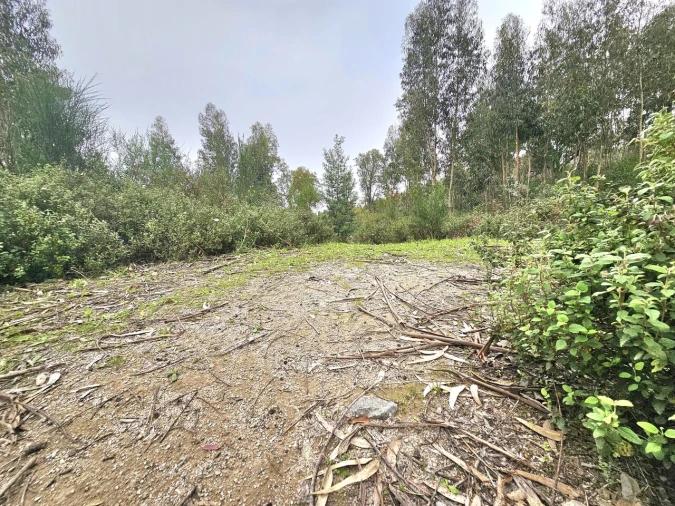 Terreno para Venda em Monchique Foto 4