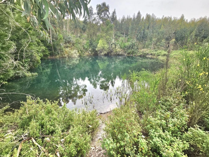 Terreno para Venda em Monchique Foto 3