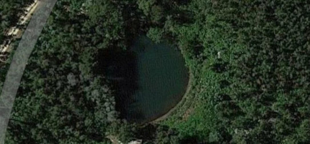 Terreno para Venda em Monchique Foto 12