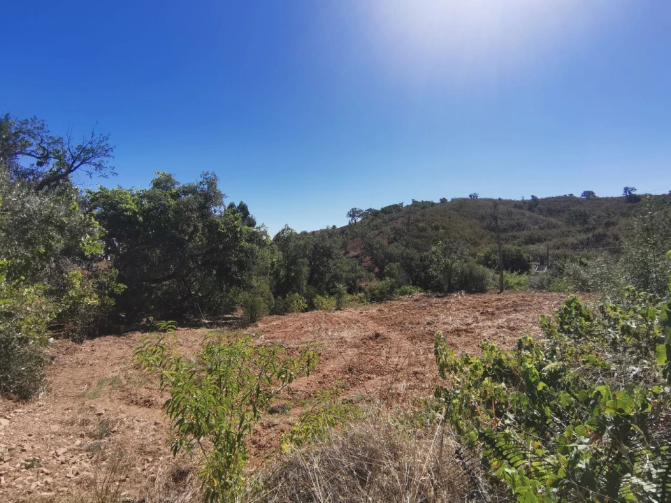 Moradia T2 para Venda em Saboia Foto 5