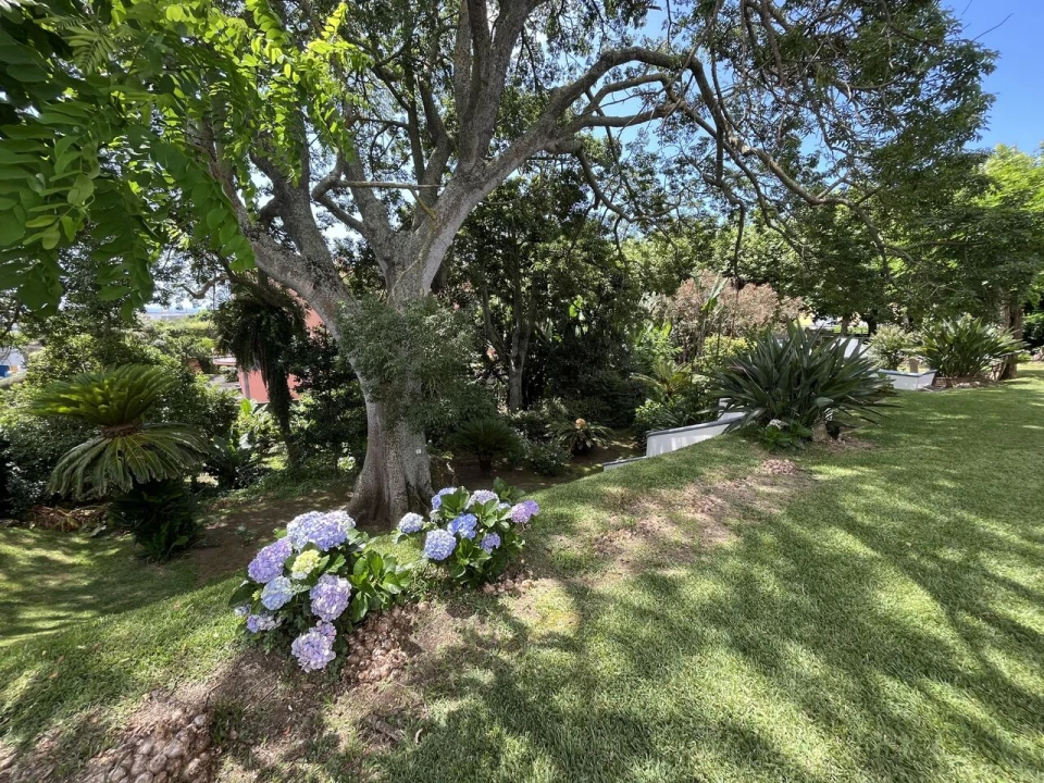 Moradia T5 para Venda em Ponta Delgada (São Sebastião) Foto 63