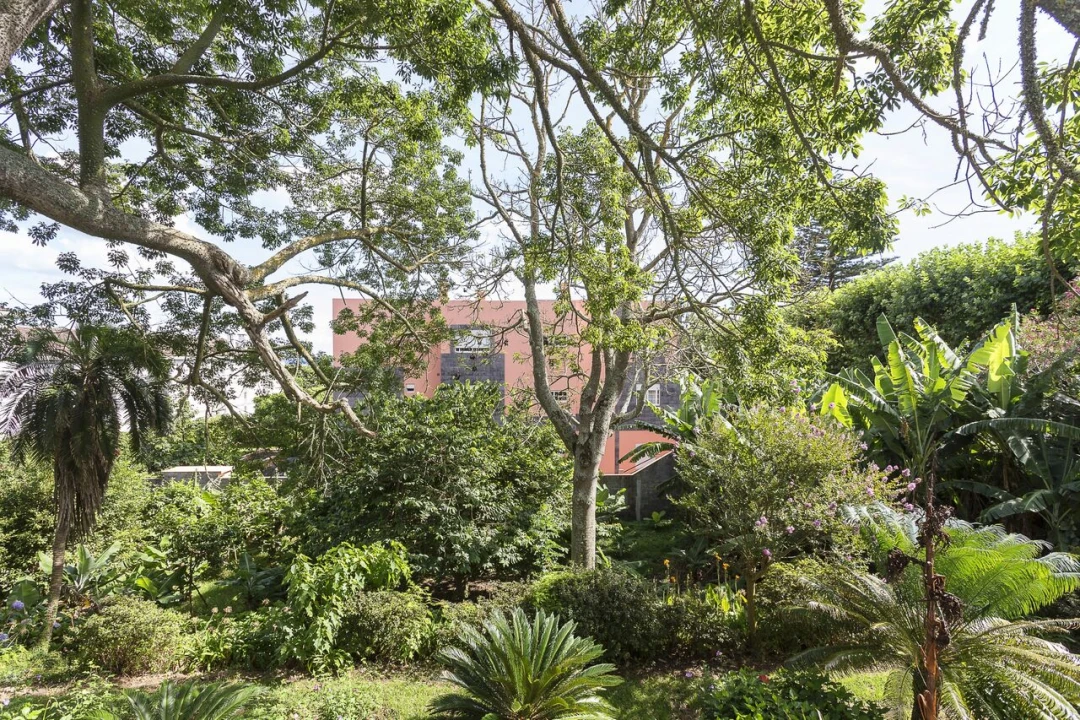 Moradia T5 para Venda em Ponta Delgada (São Sebastião) Foto 64