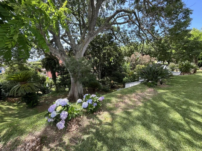 Moradia T5 para Venda em Ponta Delgada (São Sebastião) Foto 63