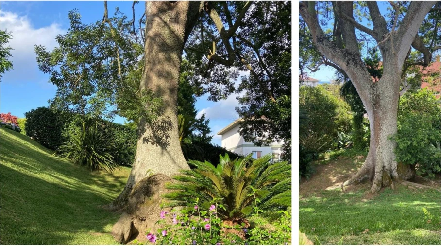 Moradia T5 para Venda em Ponta Delgada (São Sebastião) Foto 65