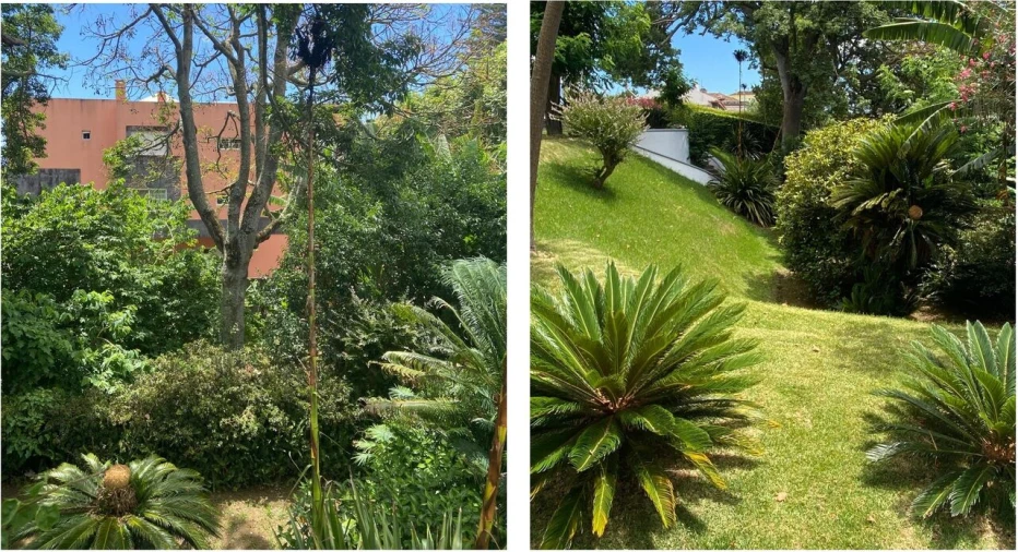 Moradia T5 para Venda em Ponta Delgada (São Sebastião) Foto 66