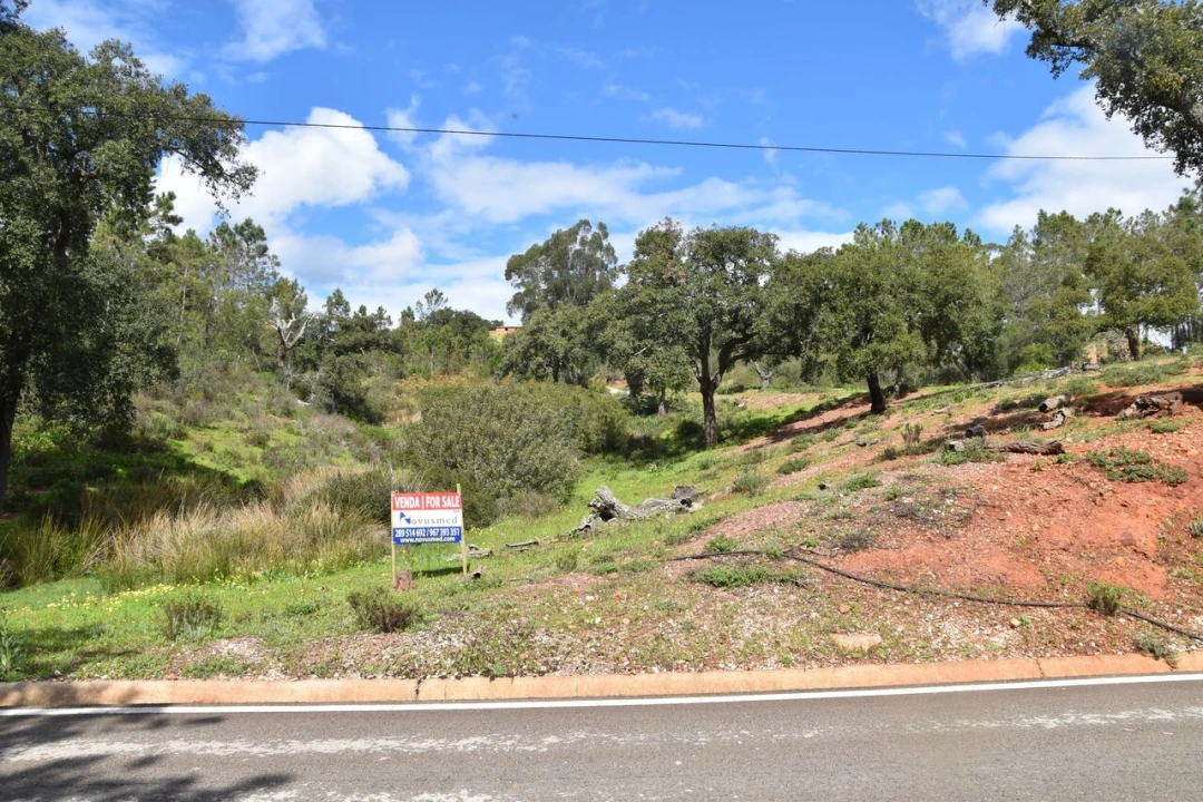 Terreno para Venda em Alte Foto 5