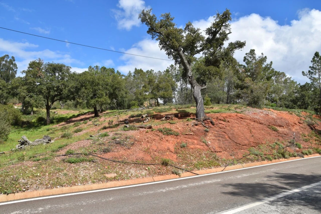 Terreno para Venda em Alte Foto 1