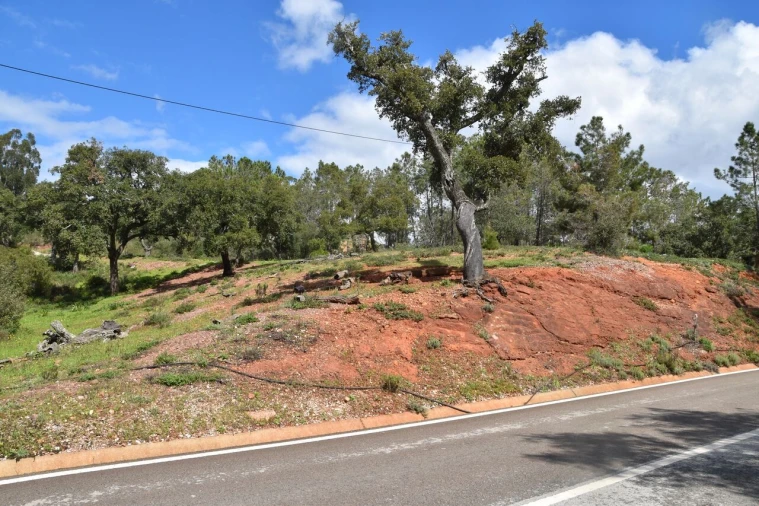 Terreno para Venda em Alte