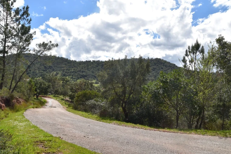 Terreno para Venda em Alte Foto 6