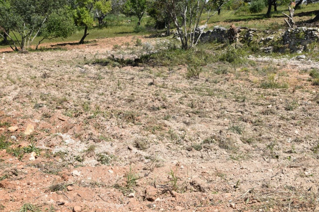 Terreno para Venda em Paderne Foto 12