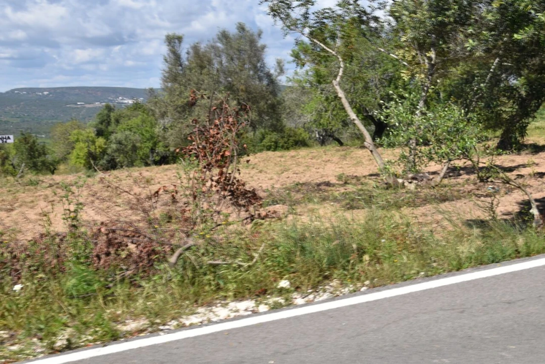 Terreno para Venda em Paderne Foto 17