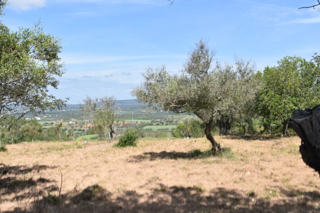Terreno para Venda em Paderne Foto 3