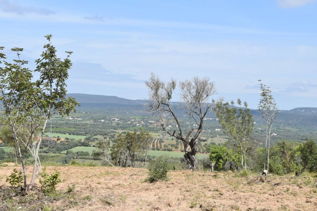 Terreno para Venda em Paderne Foto 29