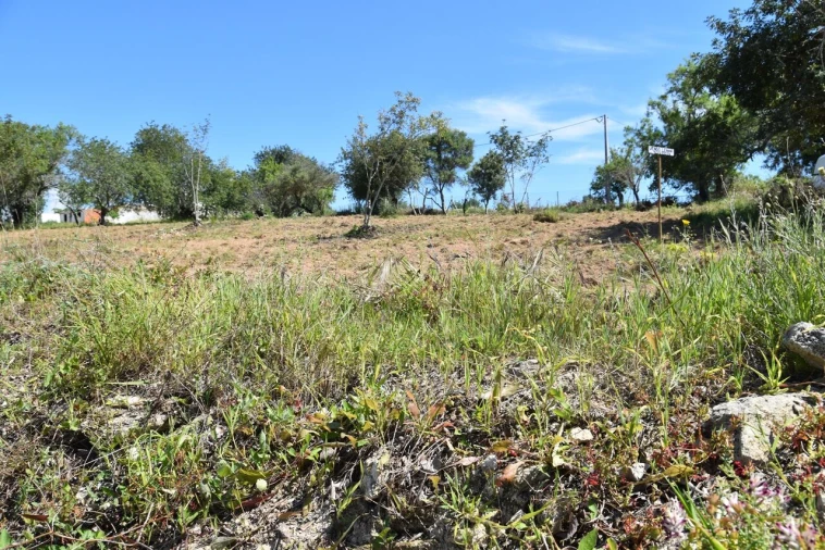 Terreno para Venda em Paderne Foto 11