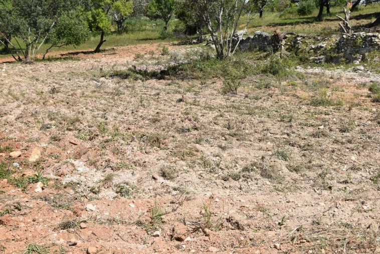 Terreno para Venda em Paderne Foto 12