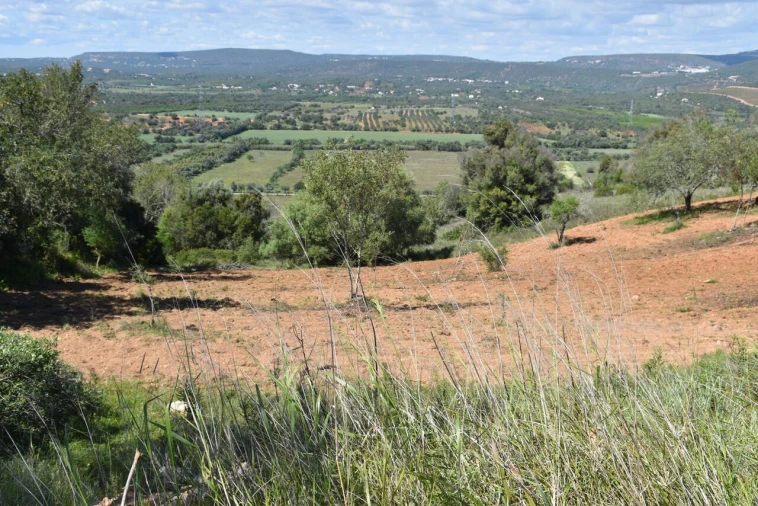 Terreno para Venda em Paderne Foto 4