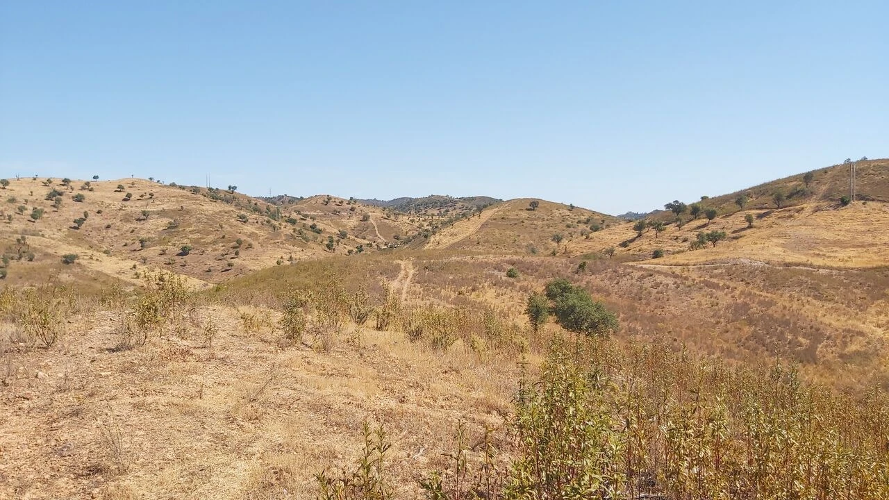 Quinta T36 para Venda em São Bartolomeu de Messines Foto 16