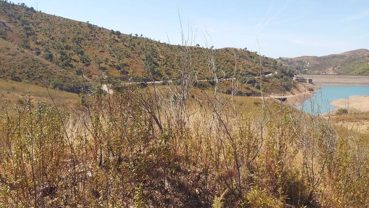 Quinta T36 para Venda em São Bartolomeu de Messines Foto 18