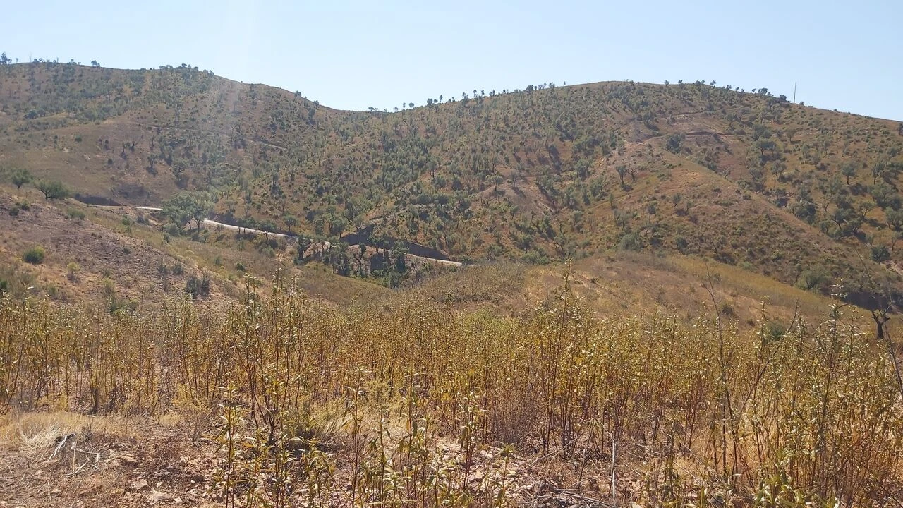 Quinta T36 para Venda em São Bartolomeu de Messines Foto 19