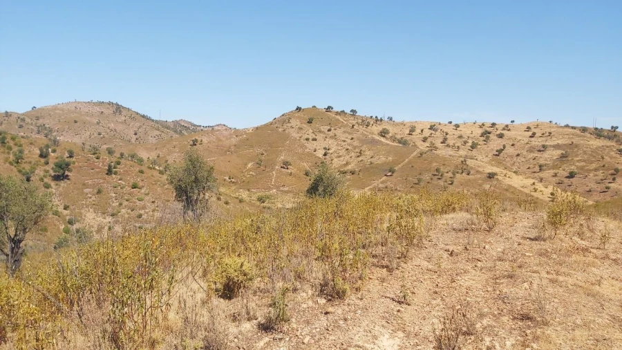 Quinta T36 para Venda em São Bartolomeu de Messines Foto 15