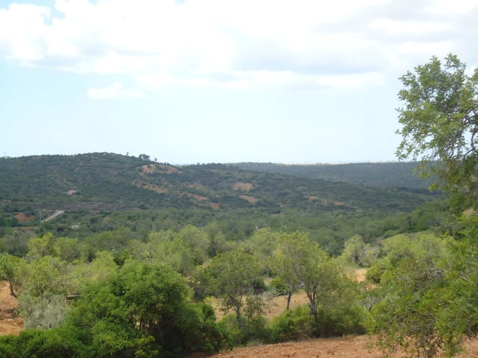 Terreno para Venda em Paderne Foto 7