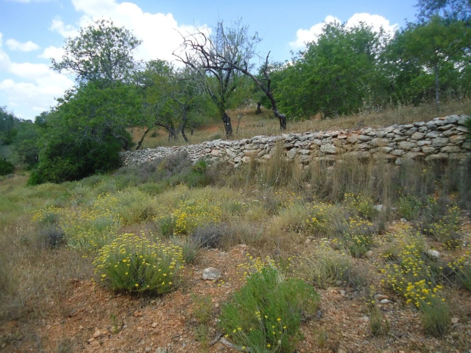 Terreno para Venda em Paderne Foto 12