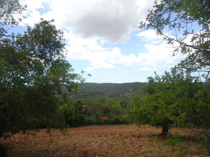 Terreno para Venda em Paderne Foto 4